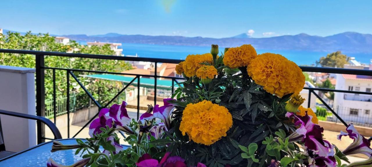 Coralli Apartment Khalkoutsion Bagian luar foto